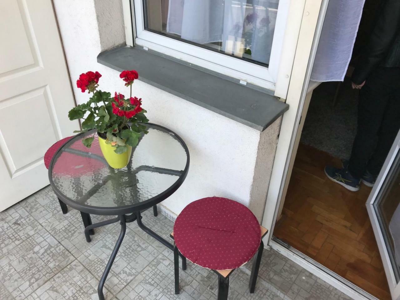 Studio Tina Sajam Novi Sad Eksteriør bilde